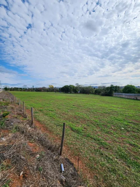 Alugar Terreno / &Aacute;rea em S&atilde;o Jos&eacute; do Rio Preto R$ 11.000,00 - Foto 5