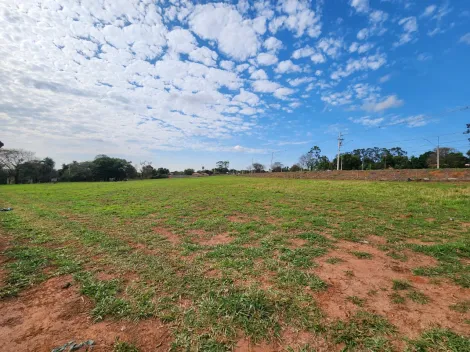 Alugar Terreno / &Aacute;rea em S&atilde;o Jos&eacute; do Rio Preto R$ 11.000,00 - Foto 6