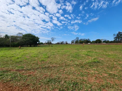 Alugar Terreno / &Aacute;rea em S&atilde;o Jos&eacute; do Rio Preto R$ 11.000,00 - Foto 7
