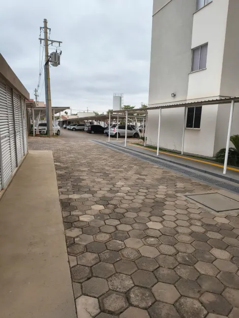 Alugar Apartamento / Padr&atilde;o em S&atilde;o Jos&eacute; do Rio Preto R$ 1.400,00 - Foto 16