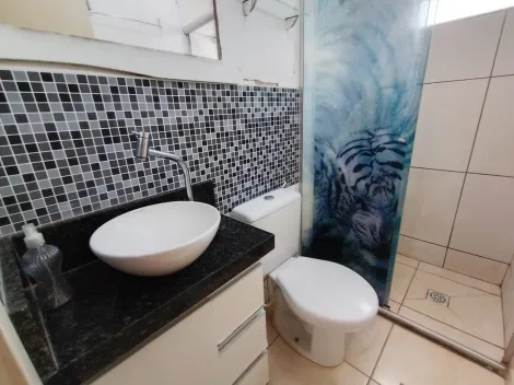 Alugar Apartamento / Padr&atilde;o em S&atilde;o Jos&eacute; do Rio Preto R$ 1.200,00 - Foto 15