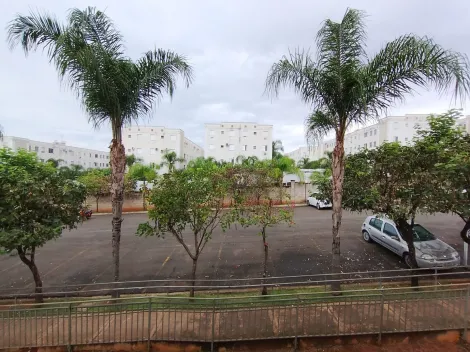 Alugar Apartamento / Padr&atilde;o em S&atilde;o Jos&eacute; do Rio Preto R$ 1.200,00 - Foto 8