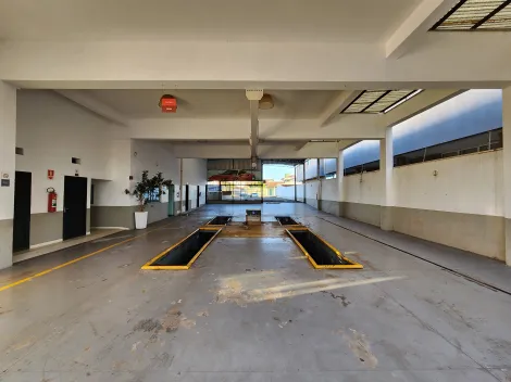 Alugar Comercial / Sal&atilde;o em S&atilde;o Jos&eacute; do Rio Preto. apenas R$ 15.000,00