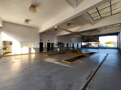 Alugar Comercial / Sal&atilde;o em S&atilde;o Jos&eacute; do Rio Preto R$ 15.000,00 - Foto 2