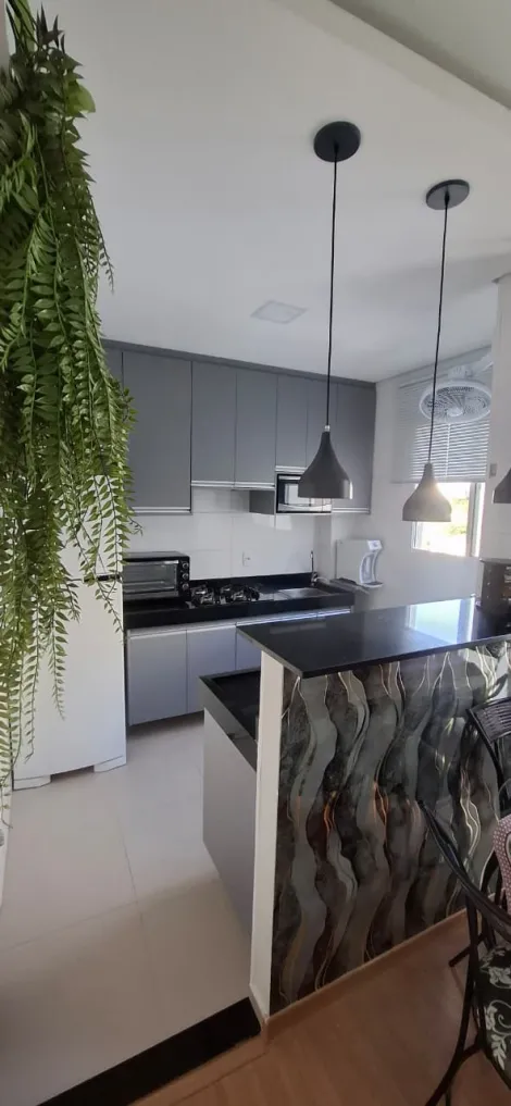 Alugar Apartamento / Padr&atilde;o em S&atilde;o Jos&eacute; do Rio Preto. apenas R$ 230.000,00