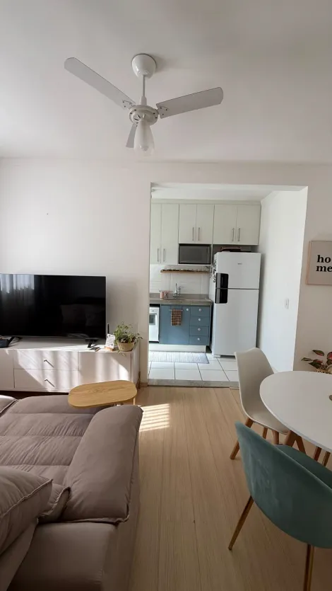 Alugar Apartamento / Padr&atilde;o em S&atilde;o Jos&eacute; do Rio Preto R$ 900,00 - Foto 2