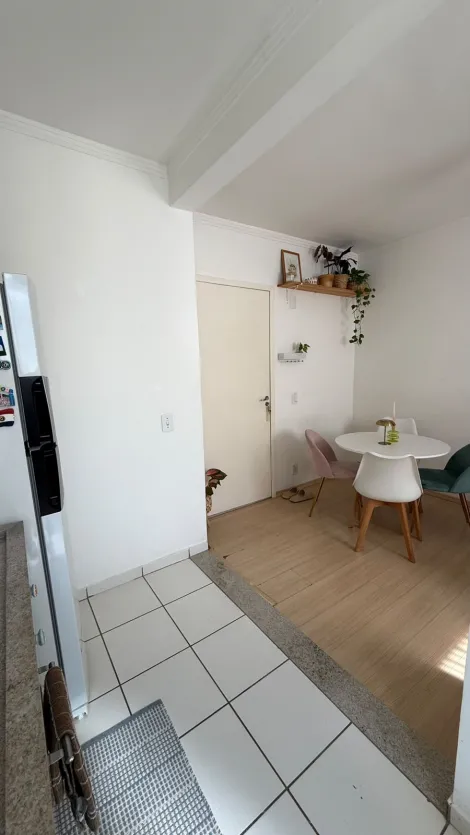 Alugar Apartamento / Padr&atilde;o em S&atilde;o Jos&eacute; do Rio Preto R$ 900,00 - Foto 5