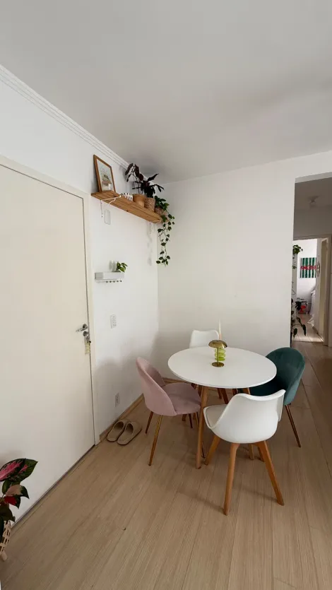 Alugar Apartamento / Padr&atilde;o em S&atilde;o Jos&eacute; do Rio Preto R$ 900,00 - Foto 3