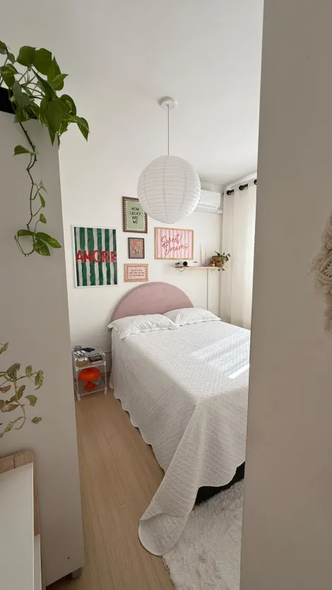 Alugar Apartamento / Padr&atilde;o em S&atilde;o Jos&eacute; do Rio Preto R$ 900,00 - Foto 8