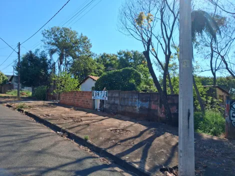 Comprar Terreno / &Aacute;rea em S&atilde;o Jos&eacute; do Rio Preto R$ 1.100.000,00 - Foto 3