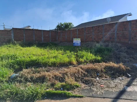 Comprar Terreno / Padr&atilde;o em S&atilde;o Jos&eacute; do Rio Preto R$ 150.000,00 - Foto 8