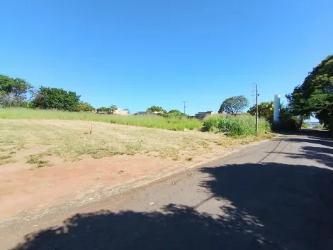 Comprar Terreno / &Aacute;rea em Bady Bassitt R$ 955.000,00 - Foto 8