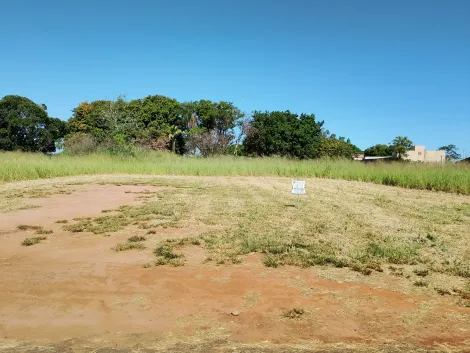 Comprar Terreno / &Aacute;rea em Bady Bassitt R$ 955.000,00 - Foto 9