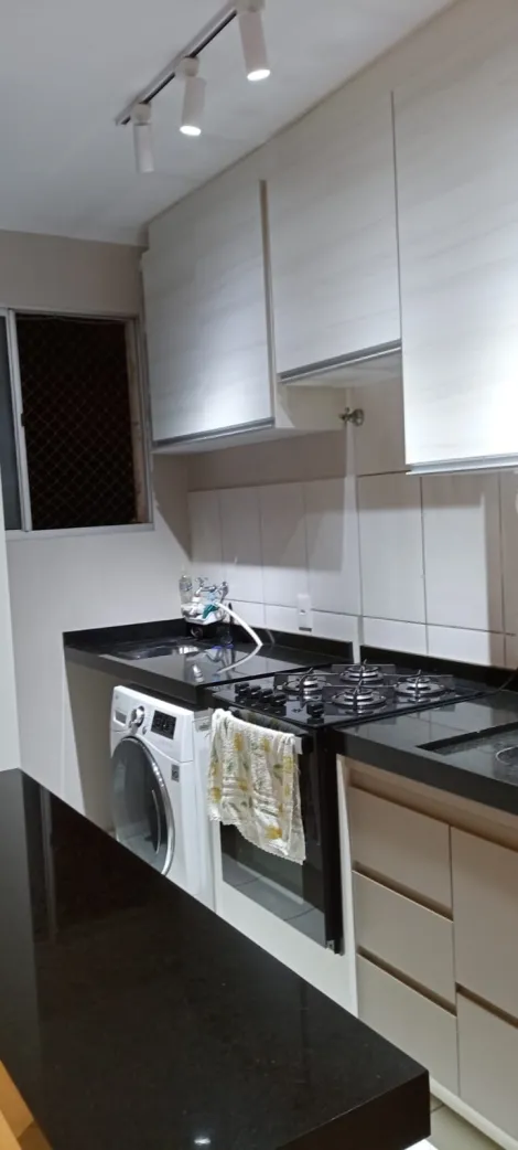 Alugar Apartamento / Padr&atilde;o em S&atilde;o Jos&eacute; do Rio Preto. apenas R$ 230.000,00
