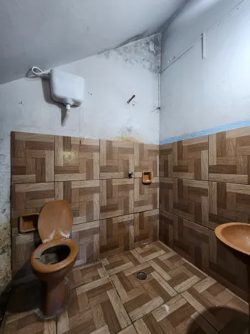 Alugar Casa / Padr&atilde;o em S&atilde;o Jos&eacute; do Rio Preto R$ 800,00 - Foto 5