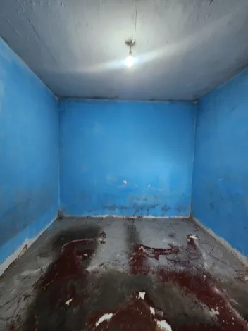 Alugar Casa / Padr&atilde;o em S&atilde;o Jos&eacute; do Rio Preto R$ 800,00 - Foto 6