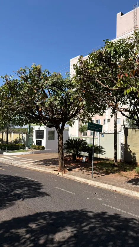 Alugar Apartamento / Padr&atilde;o em S&atilde;o Jos&eacute; do Rio Preto R$ 1.000,00 - Foto 3