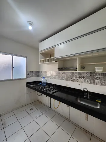 Alugar Apartamento / Padr&atilde;o em S&atilde;o Jos&eacute; do Rio Preto R$ 900,00 - Foto 3