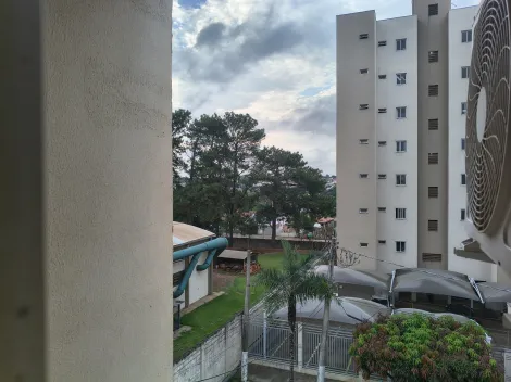 Alugar Apartamento / Padr&atilde;o em S&atilde;o Jos&eacute; do Rio Preto R$ 720,00 - Foto 18