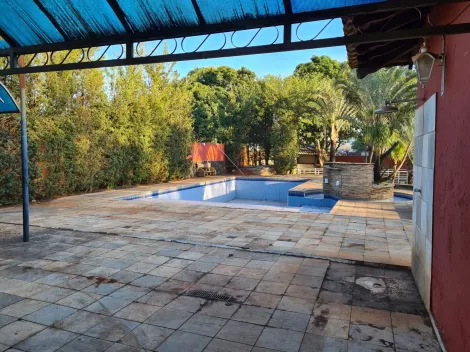 Alugar Comercial / Sal&atilde;o em S&atilde;o Jos&eacute; do Rio Preto R$ 15.000,00 - Foto 12