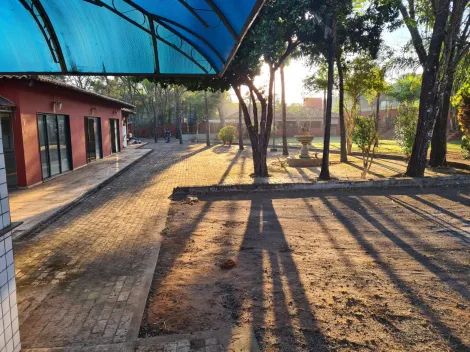 Alugar Comercial / Sal&atilde;o em S&atilde;o Jos&eacute; do Rio Preto R$ 15.000,00 - Foto 4