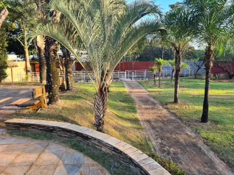 Alugar Comercial / Sal&atilde;o em S&atilde;o Jos&eacute; do Rio Preto R$ 15.000,00 - Foto 7