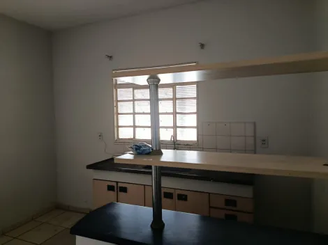 Alugar Casa / Padr&atilde;o em S&atilde;o Jos&eacute; do Rio Preto R$ 1.300,00 - Foto 4