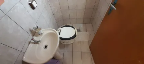 Alugar Apartamento / Padr&atilde;o em S&atilde;o Jos&eacute; do Rio Preto R$ 1.800,00 - Foto 5
