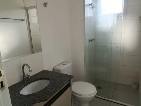 Alugar Apartamento / Padr&atilde;o em S&atilde;o Jos&eacute; do Rio Preto R$ 2.900,00 - Foto 15
