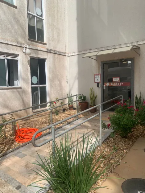 Alugar Apartamento / Padr&atilde;o em S&atilde;o Jos&eacute; do Rio Preto R$ 1.100,00 - Foto 9