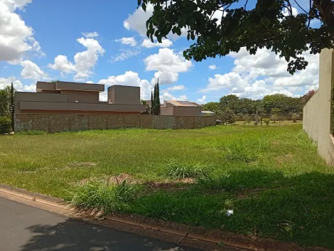 Terreno / Condom&iacute;nio em S&atilde;o Jos&eacute; do Rio Preto 