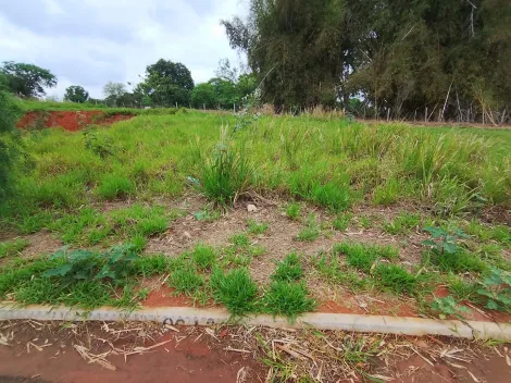 Comprar Terreno / Padr&atilde;o em Bady Bassitt R$ 110.000,00 - Foto 7