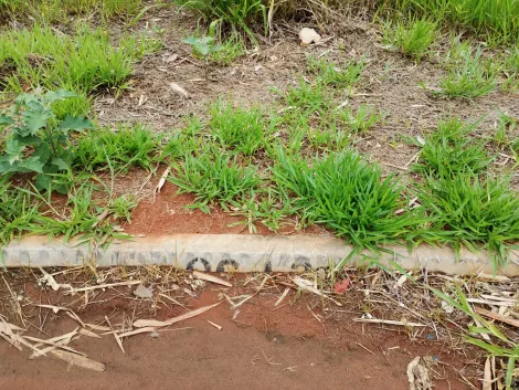 Comprar Terreno / Padr&atilde;o em Bady Bassitt R$ 110.000,00 - Foto 8