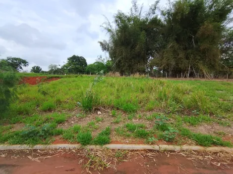 Comprar Terreno / Padr&atilde;o em Bady Bassitt R$ 110.000,00 - Foto 9