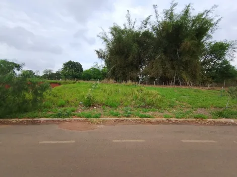 Comprar Terreno / Padr&atilde;o em Bady Bassitt R$ 110.000,00 - Foto 10