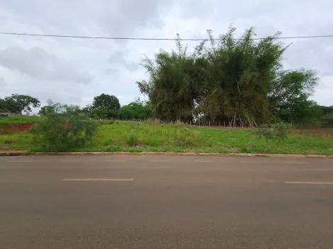 Comprar Terreno / Padr&atilde;o em Bady Bassitt R$ 110.000,00 - Foto 11