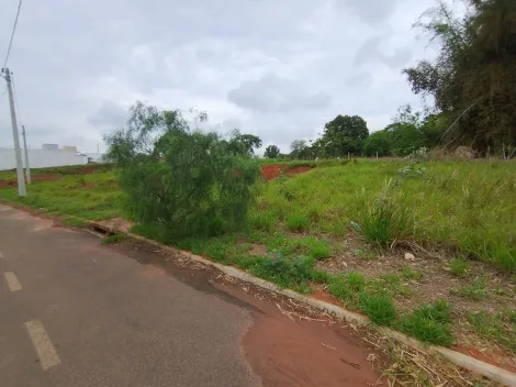 Comprar Terreno / Padr&atilde;o em Bady Bassitt R$ 110.000,00 - Foto 13