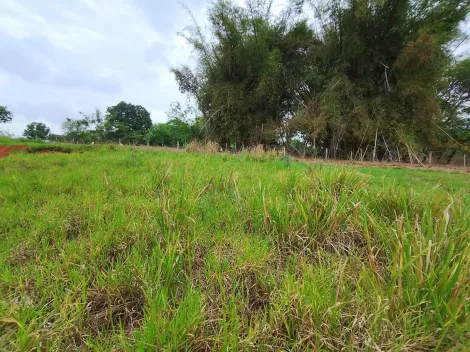 Comprar Terreno / Padr&atilde;o em Bady Bassitt R$ 110.000,00 - Foto 14
