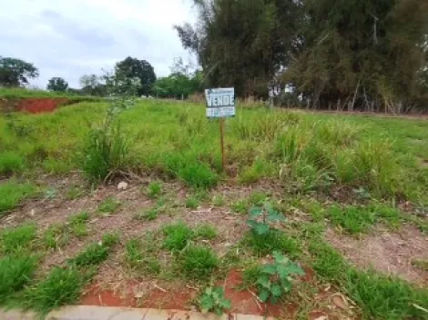 Comprar Terreno / Padr&atilde;o em Bady Bassitt R$ 110.000,00 - Foto 16