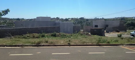 Comprar Terreno / Padr&atilde;o em S&atilde;o Jos&eacute; do Rio Preto R$ 75.000,00 - Foto 2