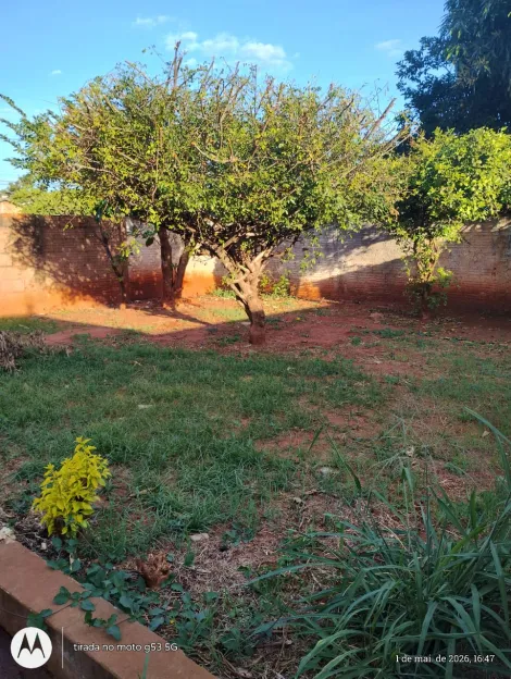 Alugar Casa / Padr&atilde;o em S&atilde;o Jos&eacute; do Rio Preto R$ 950,00 - Foto 28