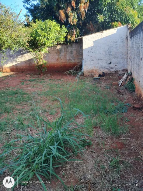 Alugar Casa / Padr&atilde;o em S&atilde;o Jos&eacute; do Rio Preto R$ 950,00 - Foto 27