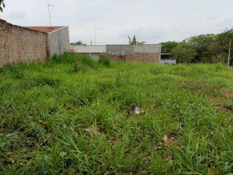 Comprar Terreno / Padr&atilde;o em Bady Bassitt R$ 65.000,00 - Foto 6