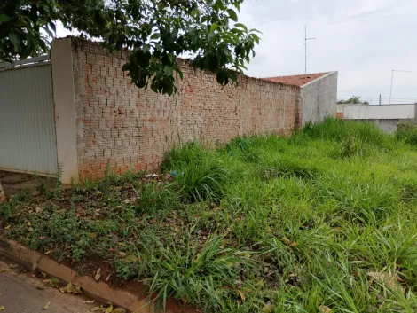 Comprar Terreno / Padr&atilde;o em Bady Bassitt R$ 65.000,00 - Foto 7