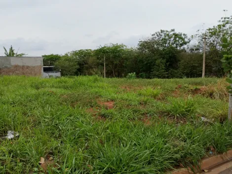 Comprar Terreno / Padr&atilde;o em Bady Bassitt R$ 65.000,00 - Foto 8