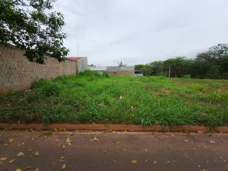 Comprar Terreno / Padr&atilde;o em Bady Bassitt R$ 65.000,00 - Foto 9