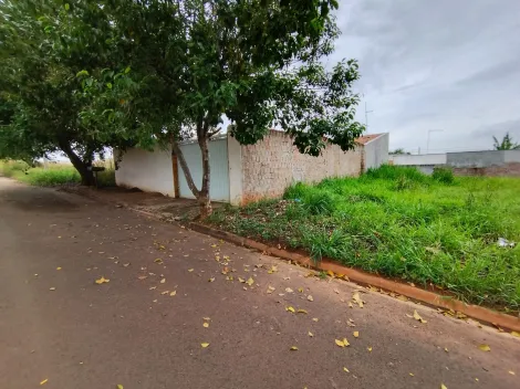 Comprar Terreno / Padr&atilde;o em Bady Bassitt R$ 65.000,00 - Foto 10