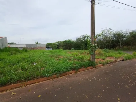 Comprar Terreno / Padr&atilde;o em Bady Bassitt R$ 65.000,00 - Foto 11