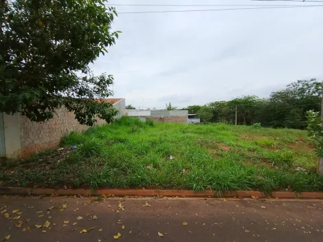 Comprar Terreno / Padr&atilde;o em Bady Bassitt R$ 65.000,00 - Foto 12