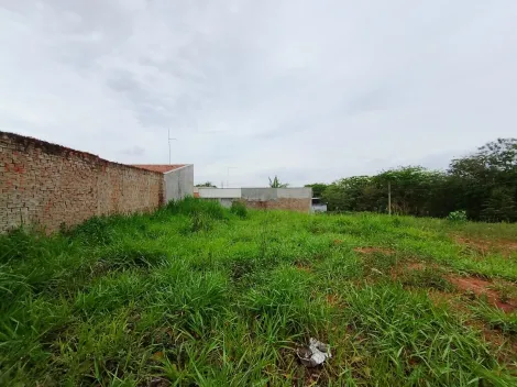 Comprar Terreno / Padr&atilde;o em Bady Bassitt R$ 65.000,00 - Foto 13